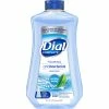 Outlet ???? Dial Complete Anti-Bacterial Spring Water Foaming Hand Wash Refill ????