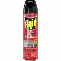 Buy ???? Raid Ant And Roach Killer, Outdoor Fresh ????