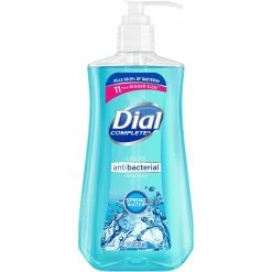 Budget ???? Dial Complete Spring Water Antibacterial Foaming Hand Soap ????