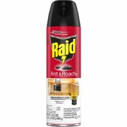Cheap ???? Raid Ant & Roach Killer Fragrance Free 17.5 Oz. ????