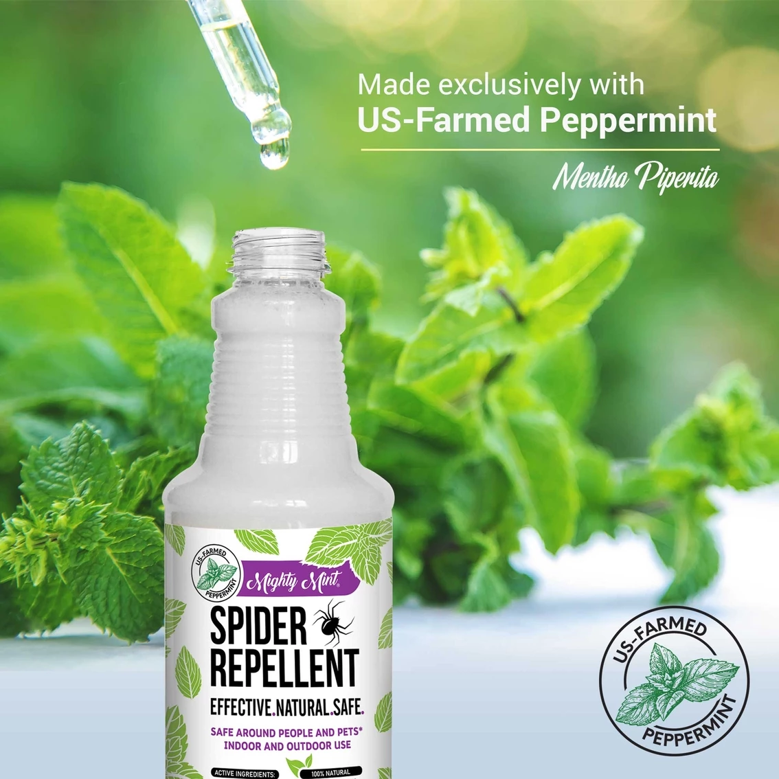 Deals ???? Pure Origins Mighty Mint Spider Repellent Natural Peppermint Spray 16 Oz. ???? 3 Deals ???? Pure Origins Mighty Mint Spider Repellent Natural Peppermint Spray 16 Oz. ???? - Image 3