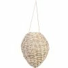 Best reviews of ???? Evergreen 10 In. Woven Wasp Deterrent ????