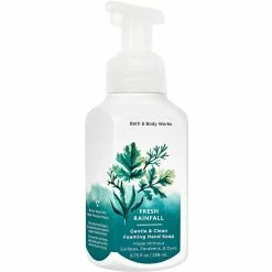 Cheapest ???? Bath & Body Works Fresh Rainfall Gentle & Clean Foaming Soap ????
