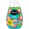Buy ???? Renuzit After The Rain Adjustable Cone Air Freshener 7 Oz. ????