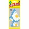 Top 10 ???? Little Trees Daisy Fields Air Fresheners 3 Pk. ????