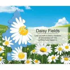 Top 10 ???? Little Trees Daisy Fields Air Fresheners 3 Pk. ???? -bath & body works shop unnamed file 514