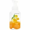 Cheapest ???? Bath & Body Works Kitchen Lemon Gentle And Clean Foaming Soap ✨