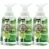 Brand new ???? WBM Care Apple And Kiwi Foaming Hand Soap 3 Pk. ????