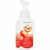 Outlet ???? Bath & Body Works Peach Bellini Gentle And Clean Foaming Soap ????