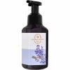 Discount ✔️ Bath & Body Works Aromatherapy Gentle & Clean Lavender Vanilla Foaming Soap ⭐
